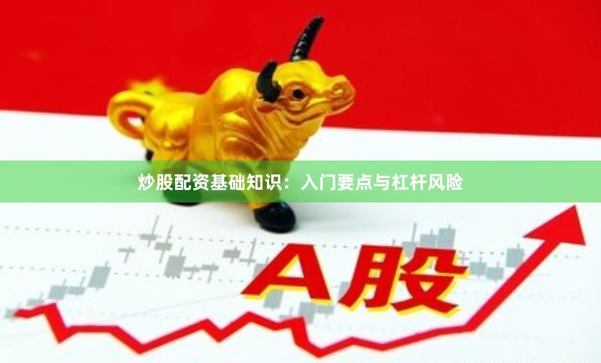 炒股配资基础知识:入门要点与杠杆风险